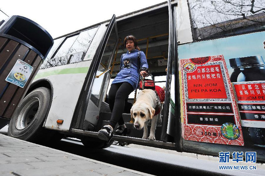 Blindenhunde im Shanghaier ?V erlaubt